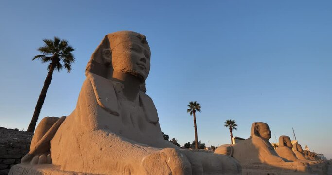 Egyptian row of sphinx, Luxor temple, upper Egypt