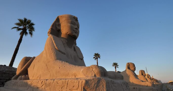 Egyptian row of sphinx, Luxor temple, upper Egypt
