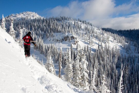 A ski patroller on dawn patrol.
