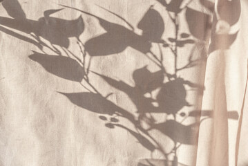 Elegant aesthetic neutral background, foliage silhouette on beige curtain, sunlight shadow backdrop...