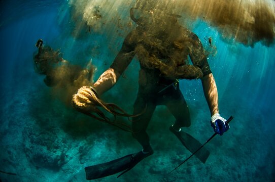 spearfisher catches an octopus