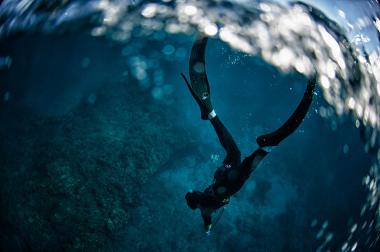 Freediver spearfishing in maui