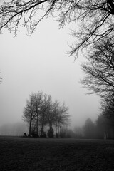 Nebelstimmung in der Eifel