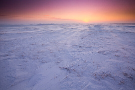 Arctic tundra at Barrow, Alaska