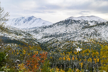 autumn in the mountains