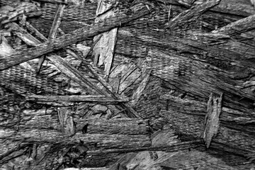 Construction Plywood for building material