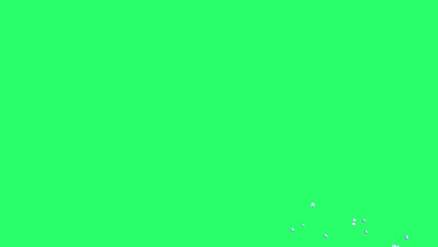 Animation dolphin isolate on green screen.