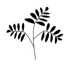 plant, leaf, nature, tree, spring