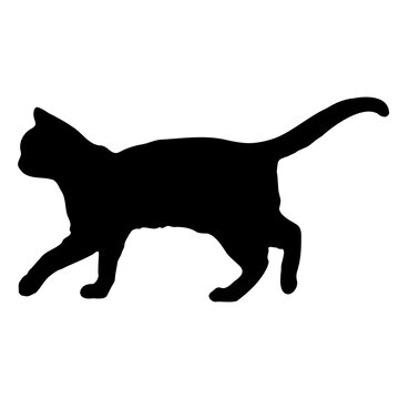 recommend clip art: cat silhouette