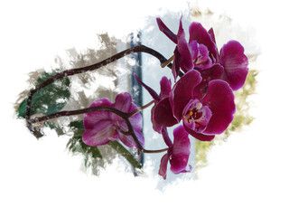 Abstract cutout of purple orchid flower with transparent background, PNG. Ideal for your graffiti design.