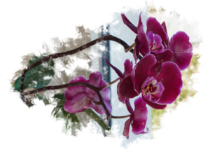Abstract cutout of purple orchid flower with transparent background, PNG. Ideal for your graffiti design.