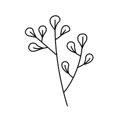 plant, flower, nature, line, leaf, seamless flower