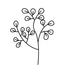 plant, flower, nature, line, leaf, seamless flower