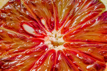 Bloody red orange kara-kara, cut lobule sectors close-up macro, top view, isolated on white...