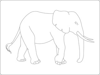 elephant vector illustration coloring book
