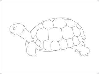 turtle vector illustration coloring book