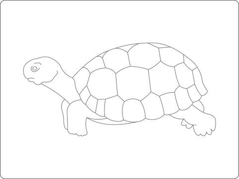 turtle vector illustration coloring book