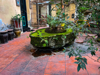 garden with flowers and stone