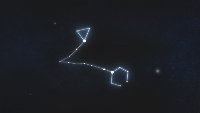 Pisces zodiac constellation is formed from individual stars in night sky. Astronomy sign animation