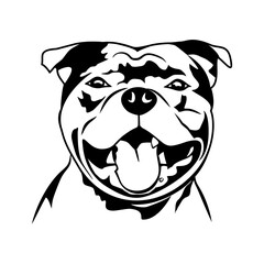 Staffordshire Bull Terrier vector isolated dog head with tongue
