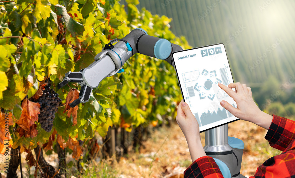 Aufkleber farmer uses a digital tablet to control robot on a vineyard. smart farming concept.