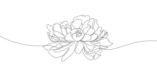 Peony flower in single continuous line drawing style for logo or emblem. Beautiful line art for print. Minimalist style elegant drawing