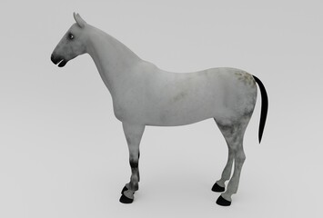 grey horse 3d rendering minimal 3d illustration on white background.