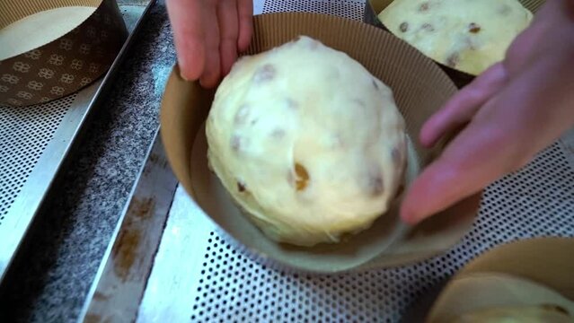 Baker forms round portion and puts dough into baking form