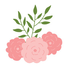 Pink roses with leaves. Spring greenery vector hand drawn element. Leaves and flowers