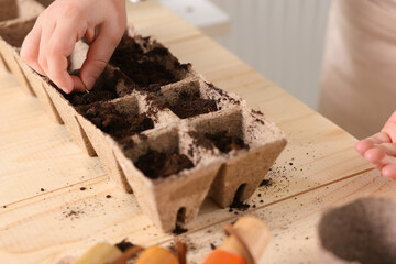 Little girl planting vegetable seeds into peat pots with soil at wooden table, closeup