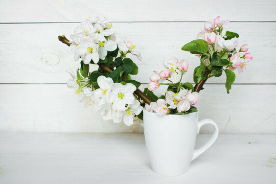 A beautiful sprig of an apple tree with white flowers in a cap against a white wooden background. Blossoming branch in a glass with water. Spring still life. Concept of spring or mom day