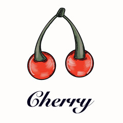 cherry in the form of a heart cherry on a twig,red berry,flower,cherry blossom flower,cherry symbol love,friendship,fertility,longevity,fruit