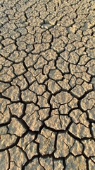 Dry cracked ground