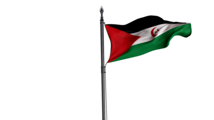 Western Sahara, Sahara Democratic Arab Republic, Country Flag