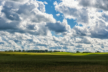 Obraz premium Landscape with Wheat Field and Cloudy Blue Sky in Background. Sunlight and Wide Shadows Area.
