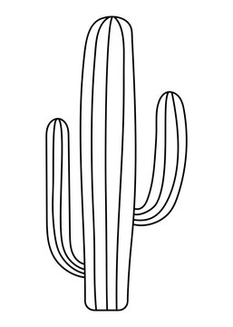 Hand Drawn Saguaro Cactus Isolated On The White Background
