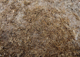 Top view, dung texture. Background of natural manure. Fertilizer for the field. Texture of straw and dung. High quality photo. Organic waste for agriculture