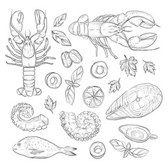 Sea food collection, Hand drawn elements collection