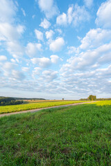 Sommerlandschaft im Odenwald