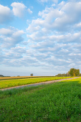Sommerlandschaft im Odenwald