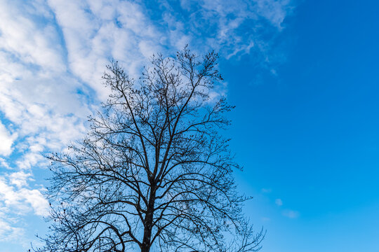 寒空」の写真素材 | 5,577件の無料イラスト画像 | Adobe Stock