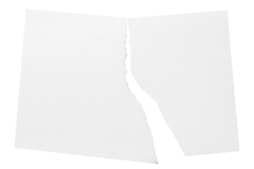 Torn sheet of paper, cut out