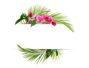 Decorative tropical green leaves of palm and bougainvillea flowers with copy space isolated on...