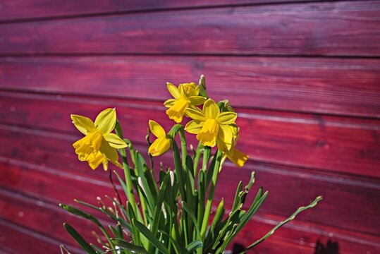 Fr&uuml;hling 1