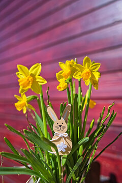 Fr&uuml;hling 2