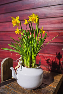 Fr&uuml;hling 3