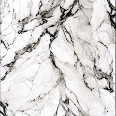 texture calacatta marble white and black