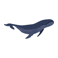 Cartoon whales. Beluga whale, humpback whale, sperm whale, blue whale, bowhead whale, southern right whale. Underwater world, marine flora and fauna. Vector illustration of whales