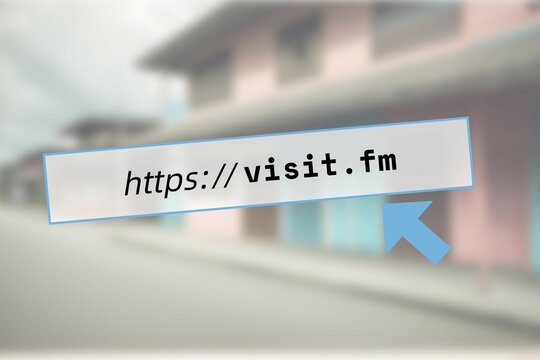 Domain .fm: Illustration einer URL für das Land Föderierte Staaten von Mikronesien in der Browerbar