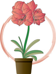 Illustration of Amaryllis flower in pot on circle background.